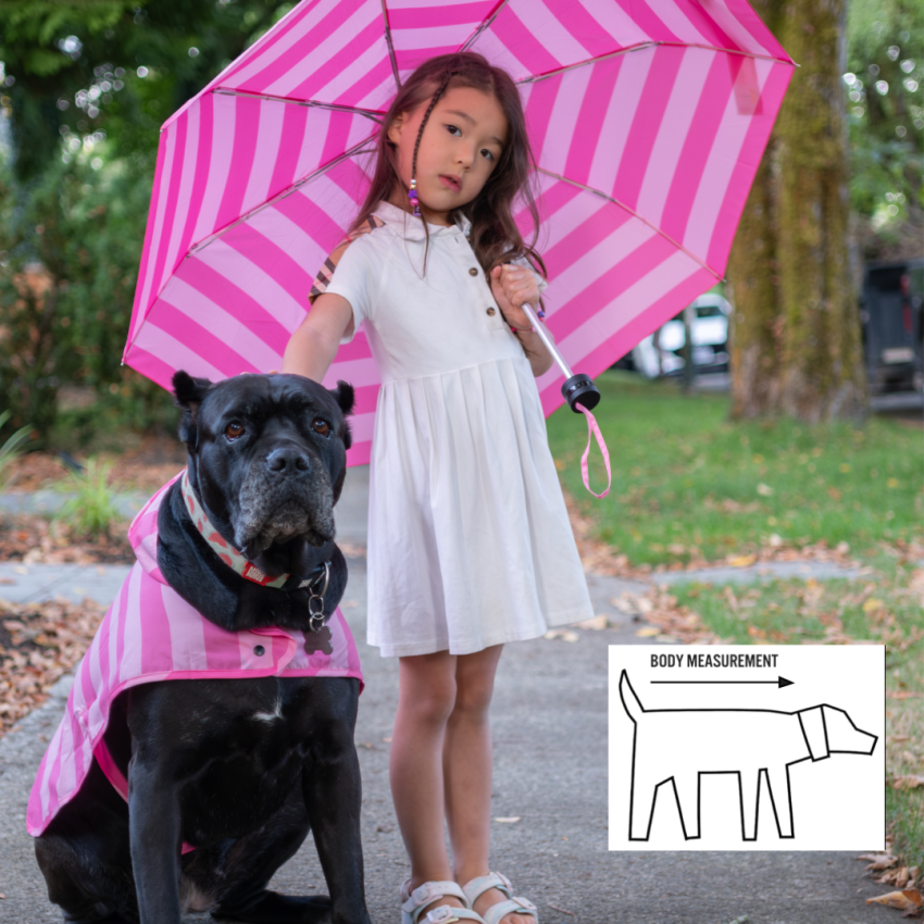 Doggy Rain Jackets